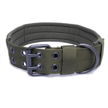 Adjustable Buckle-Up Collar