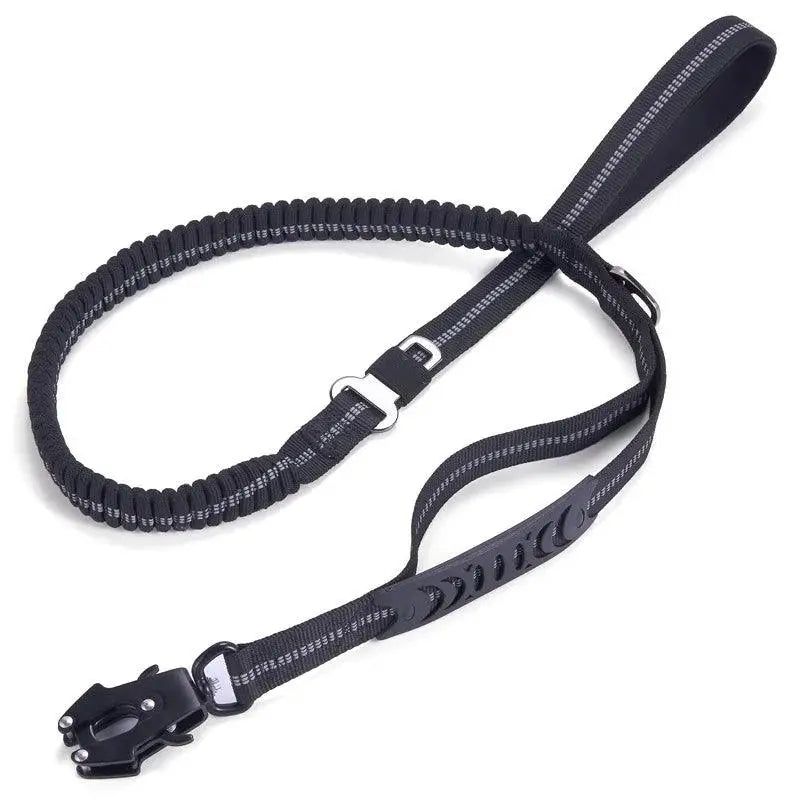 Heavy-Duty Bungee Leash With Metal Frog Clip