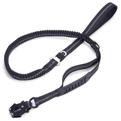 Heavy-Duty Bungee Leash With Metal Frog Clip
