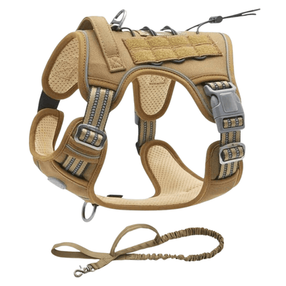 Commander Harness