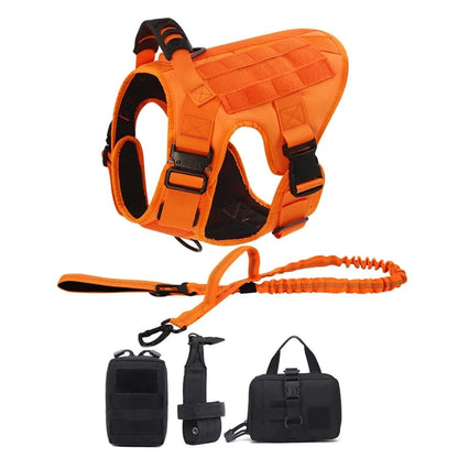 Recon Harness & Tactical Set