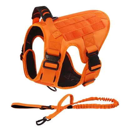 Recon Harness & Tactical Set