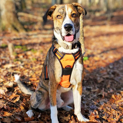 Navigator Harness