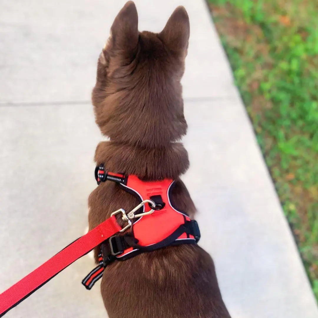 Navigator Harness