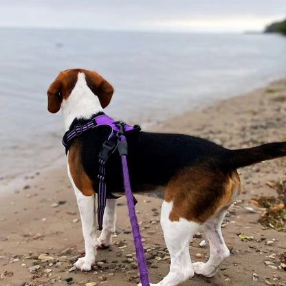 Navigator Harness