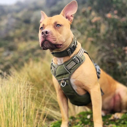 Padded Collar With Quick-Control Handle