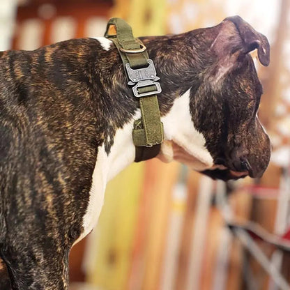 Padded Collar With Quick-Control Handle
