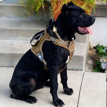 Commander Harness