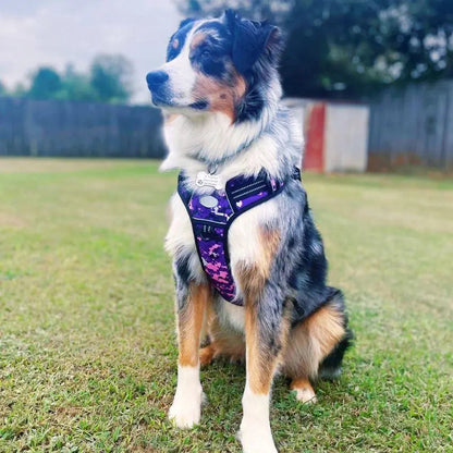 Commander Harness