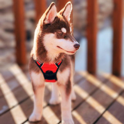 Navigator Harness