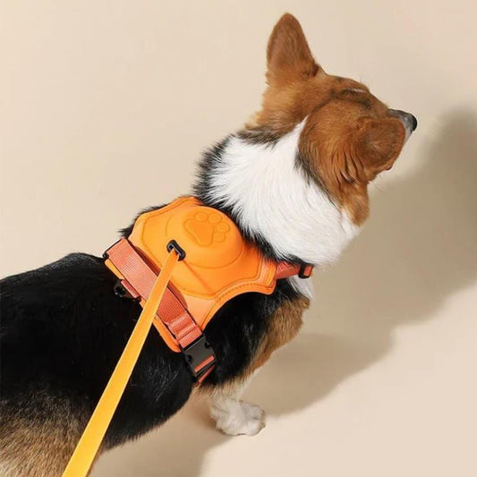 Rover Integrated 2-1 Harness