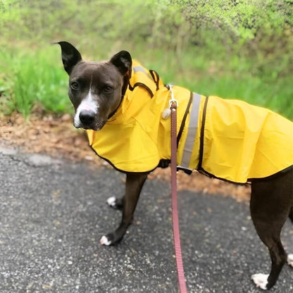 Stormshiled Rain Jacket