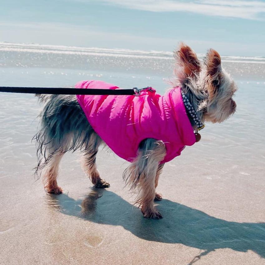 Alpine Fleece Winter Jacket