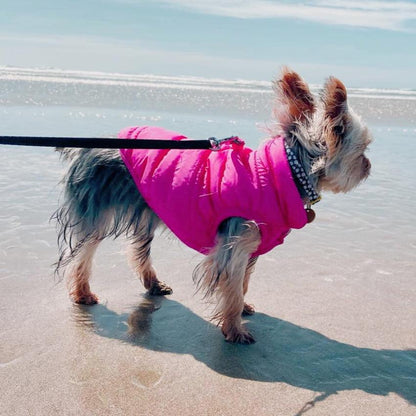 Alpine Fleece Winter Jacket