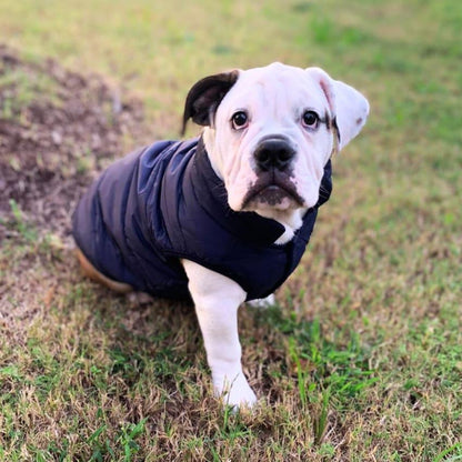 Alpine Fleece Winter Jacket
