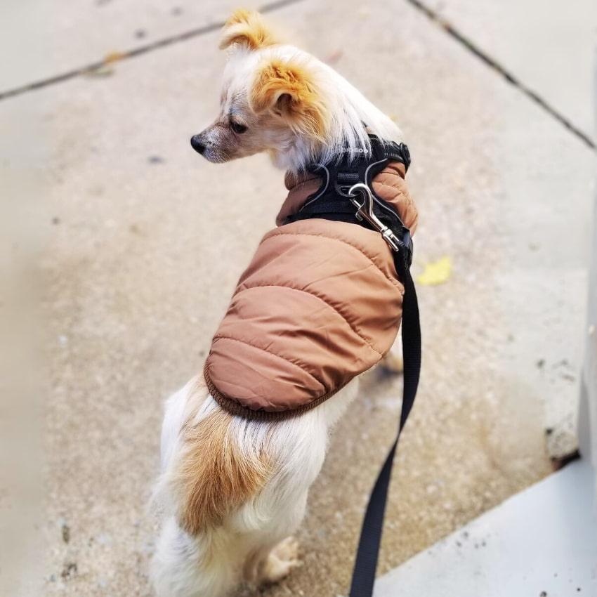 Alpine Fleece Winter Jacket