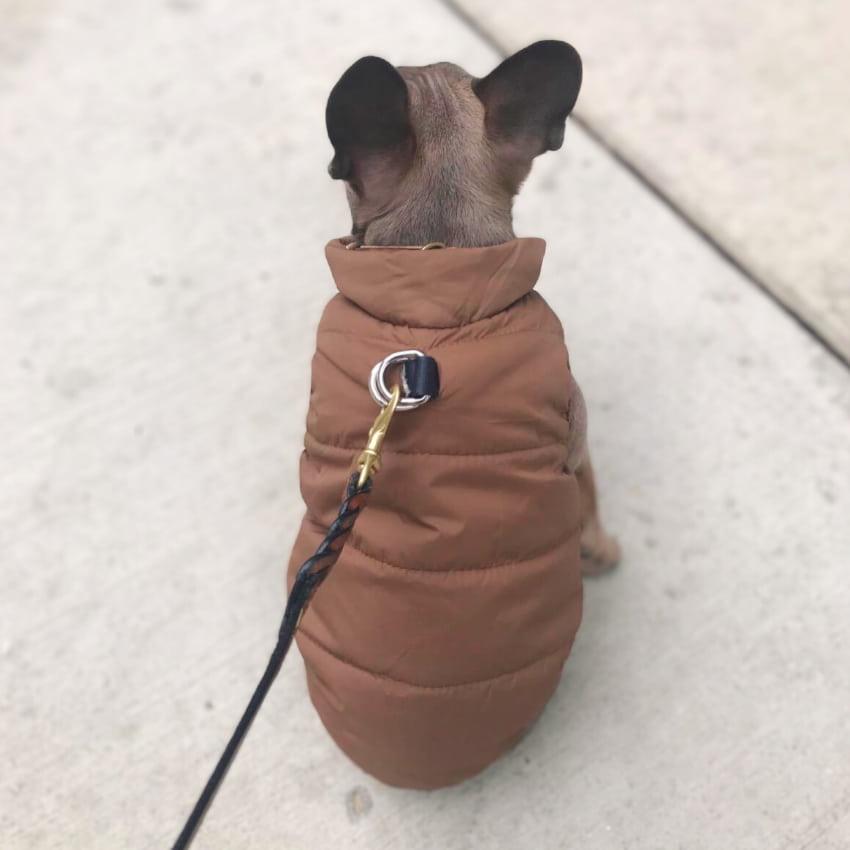 Alpine Fleece Winter Jacket