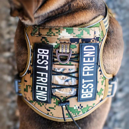 Commander Harness