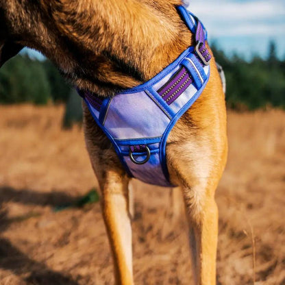 Commander Harness
