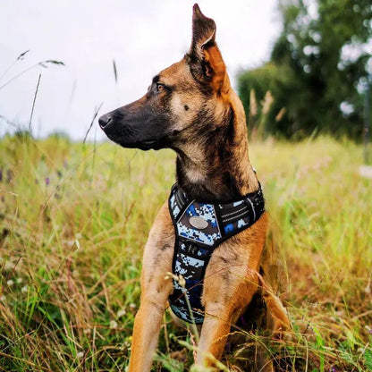 Commander Harness