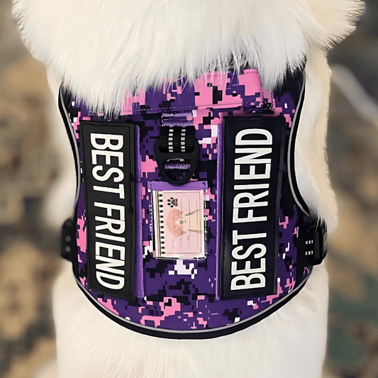 Commander Harness