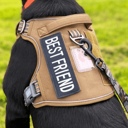 Commander Harness
