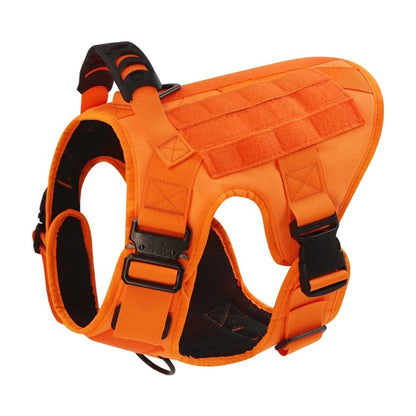 Recon Harness & Tactical Set