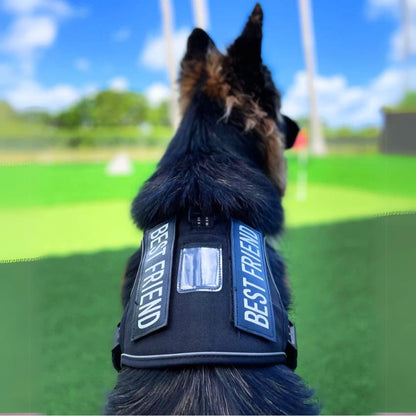 Commander Harness