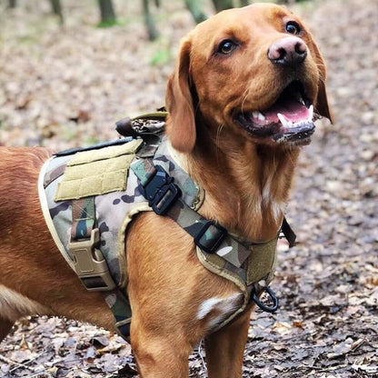 Recon Harness & Tactical Set