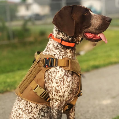 Recon Harness & Tactical Set