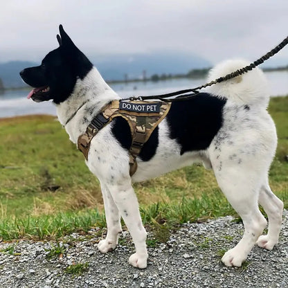 Recon Harness & Tactical Set