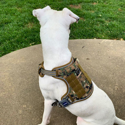 Commander Harness