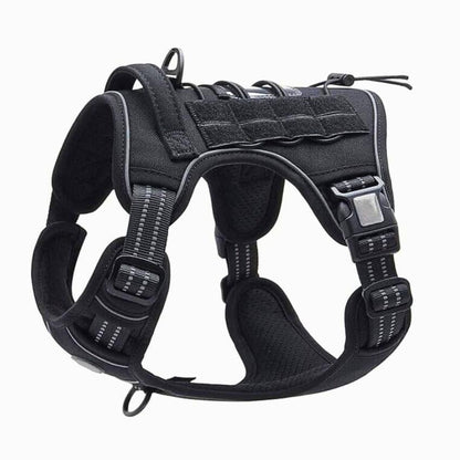 Commander Harness