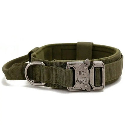 Padded Collar With Quick-Control Handle