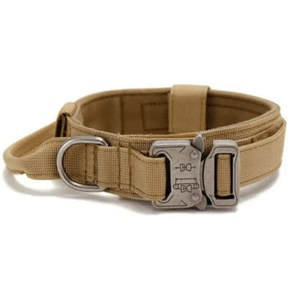 Padded Collar With Quick-Control Handle