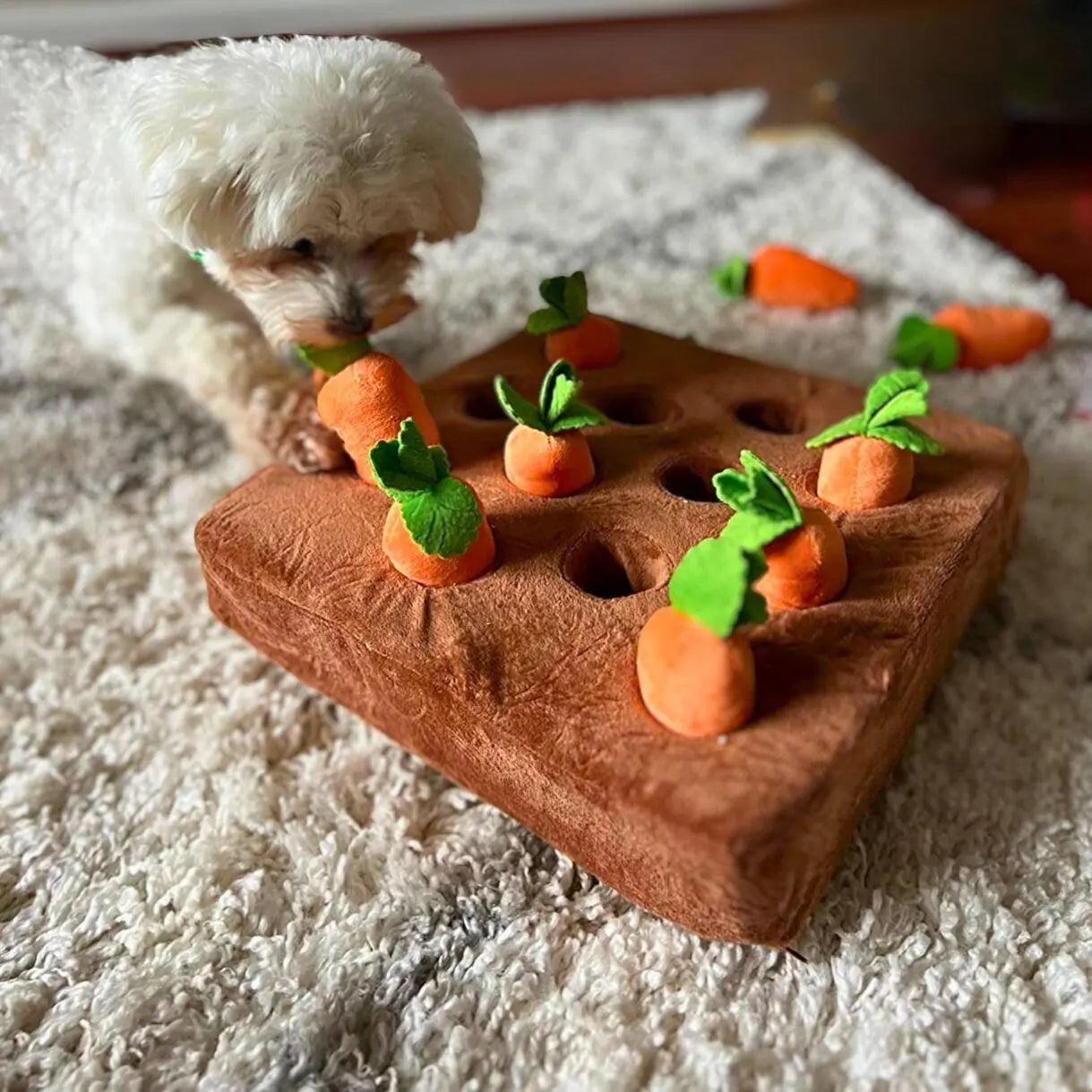 Carrot Snuffle Mat