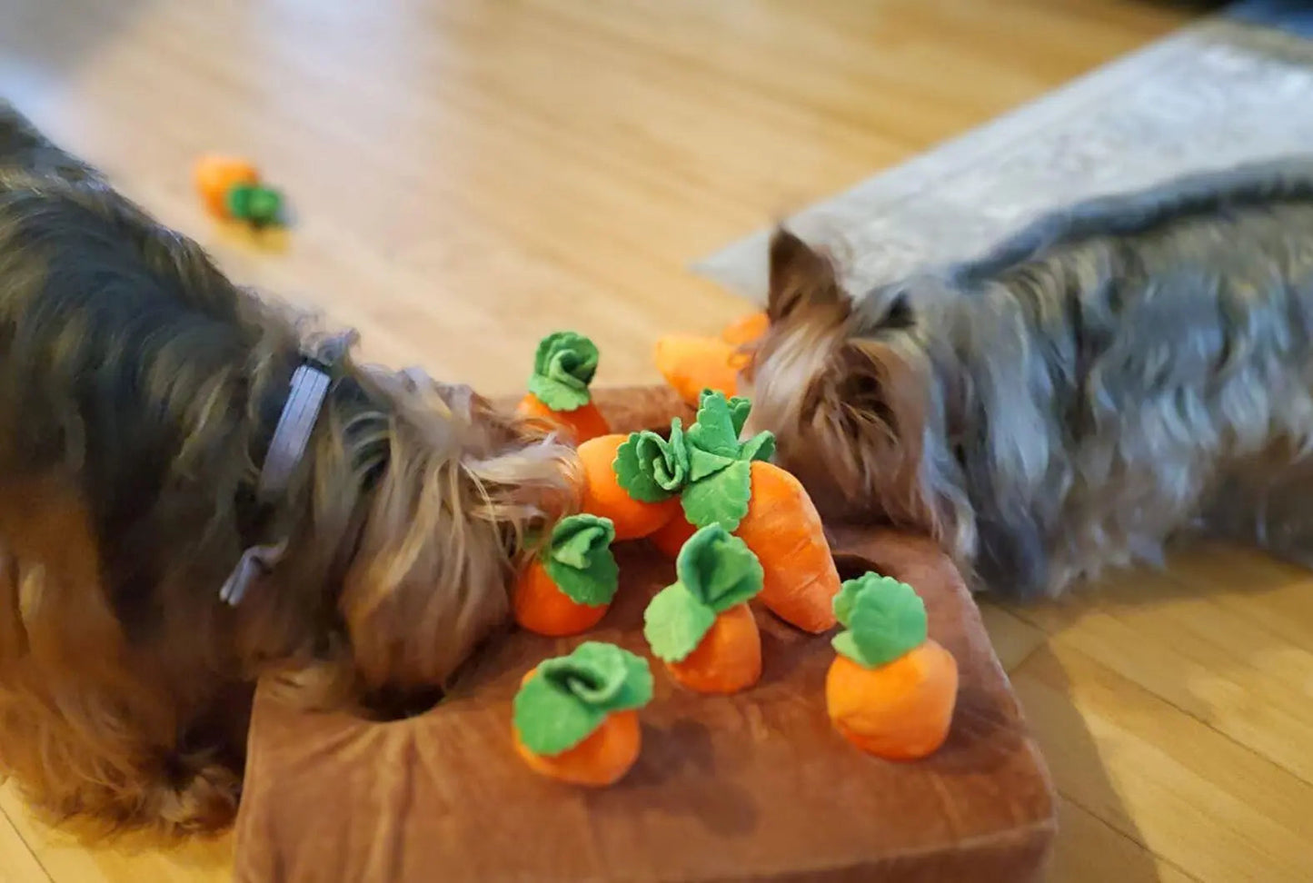 Carrot Snuffle Mat