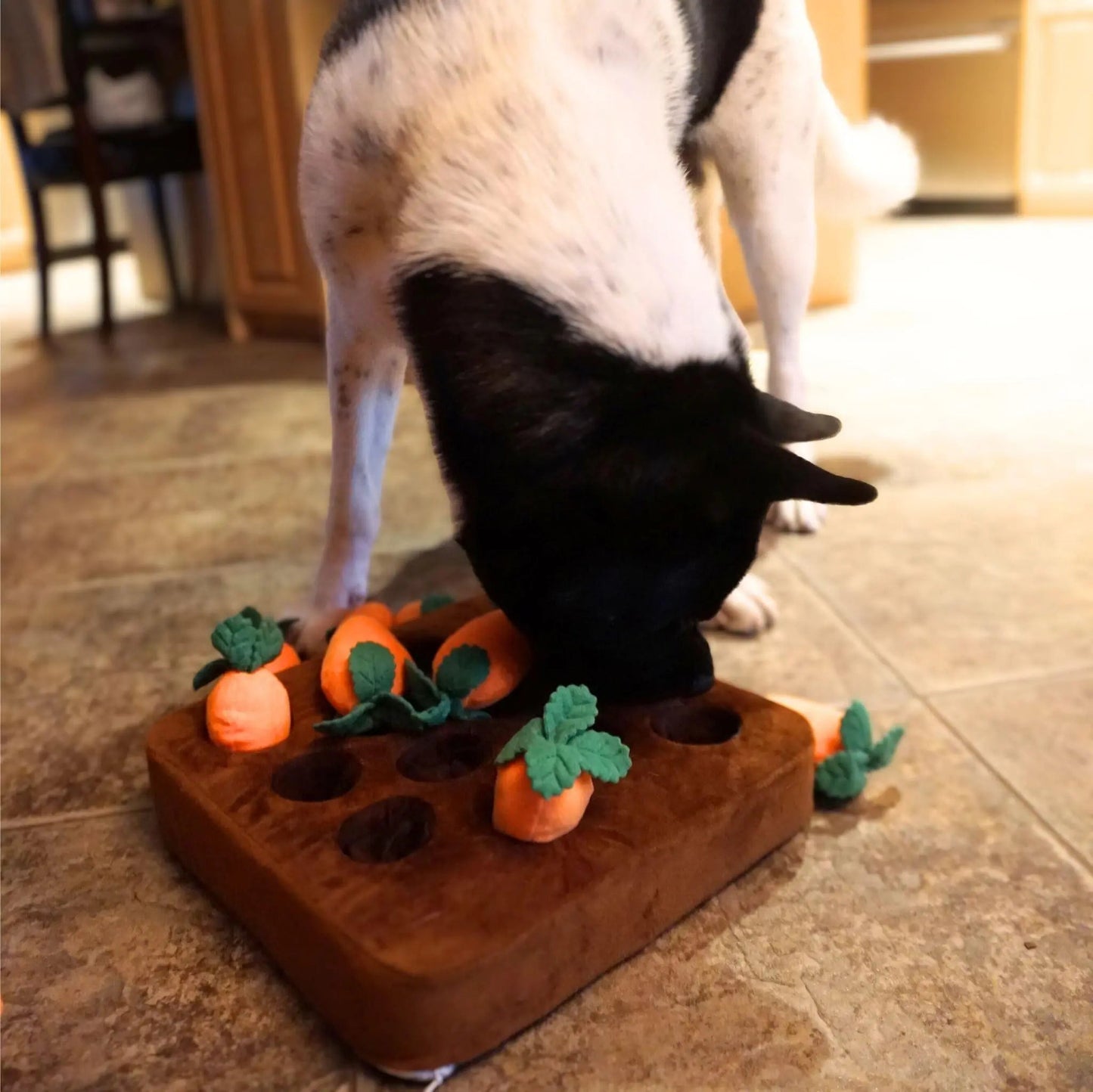 Carrot Snuffle Mat