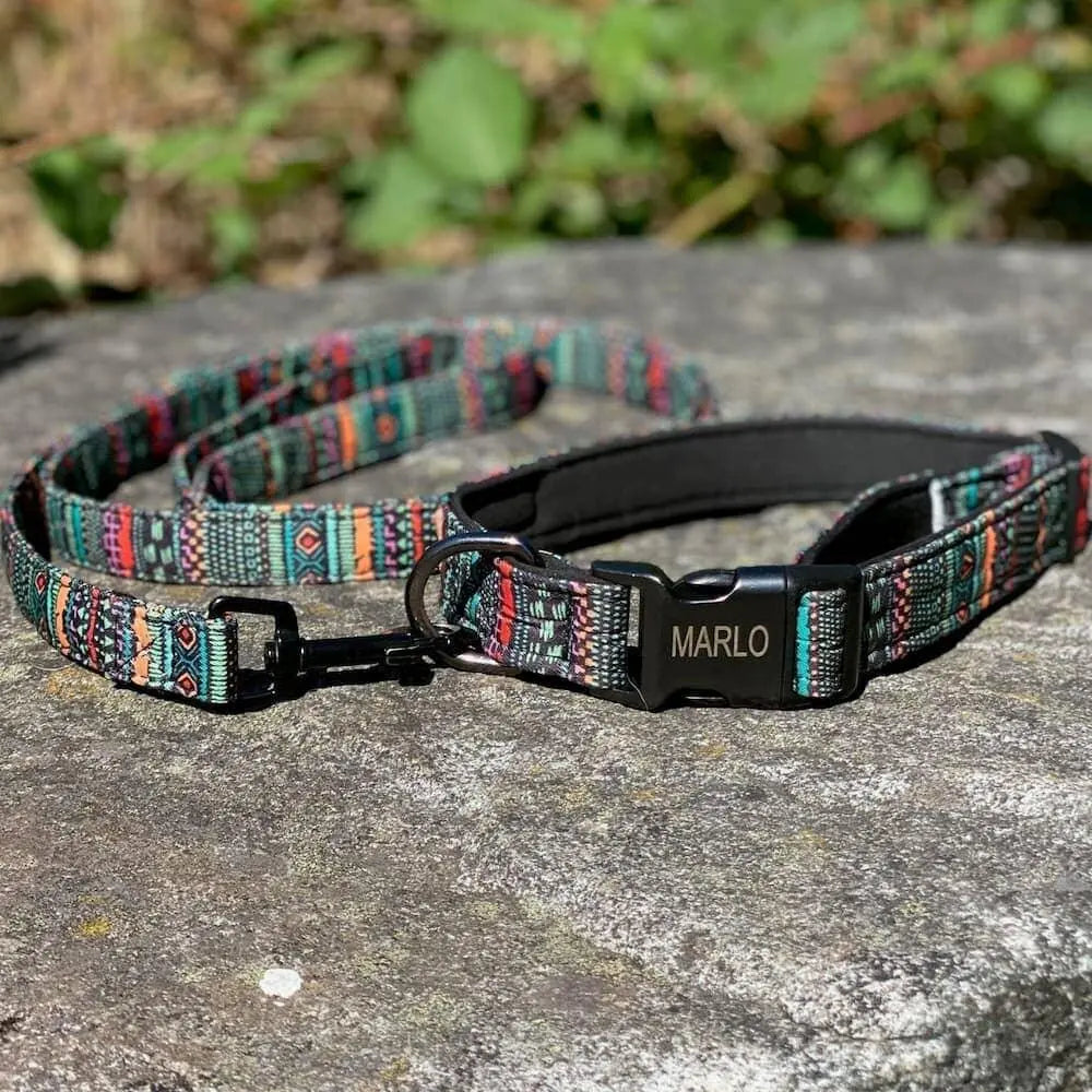 Custom Multi-Coloured Collar & Leash Set