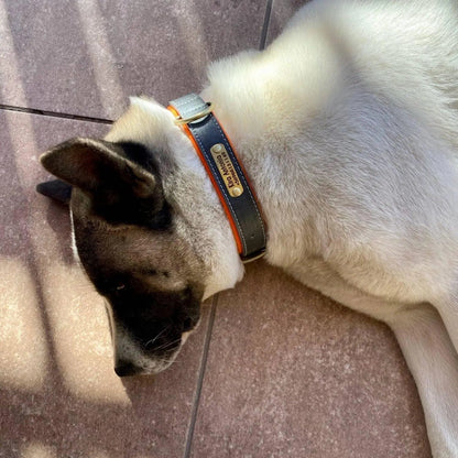 Personalized Vegan Leather Collar