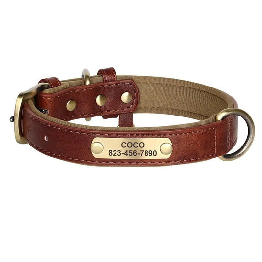 Personalized Vegan Leather Collar