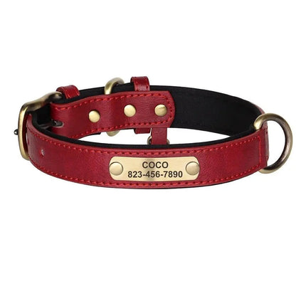 Personalized Vegan Leather Collar