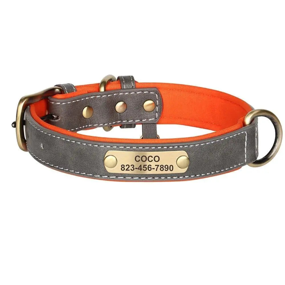 Personalized Vegan Leather Collar