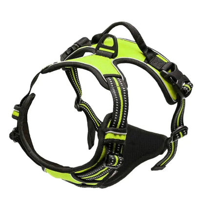 Navigator Harness