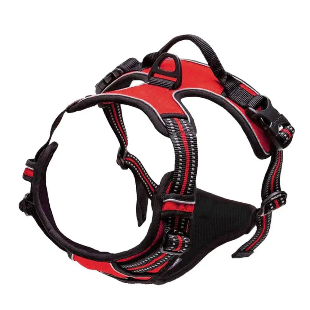 Navigator Harness