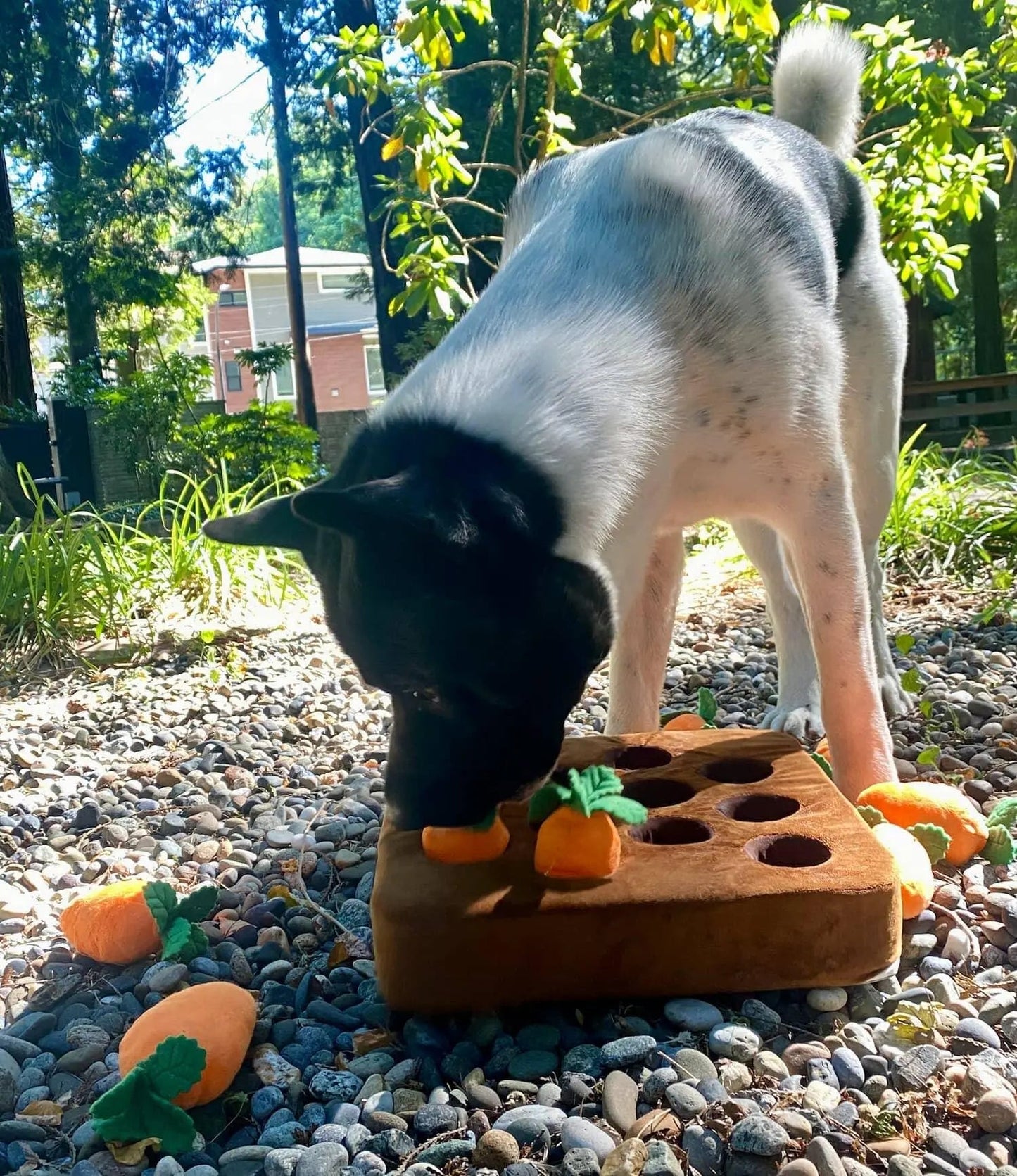 Carrot Snuffle Mat