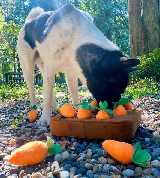 Carrot Snuffle Mat