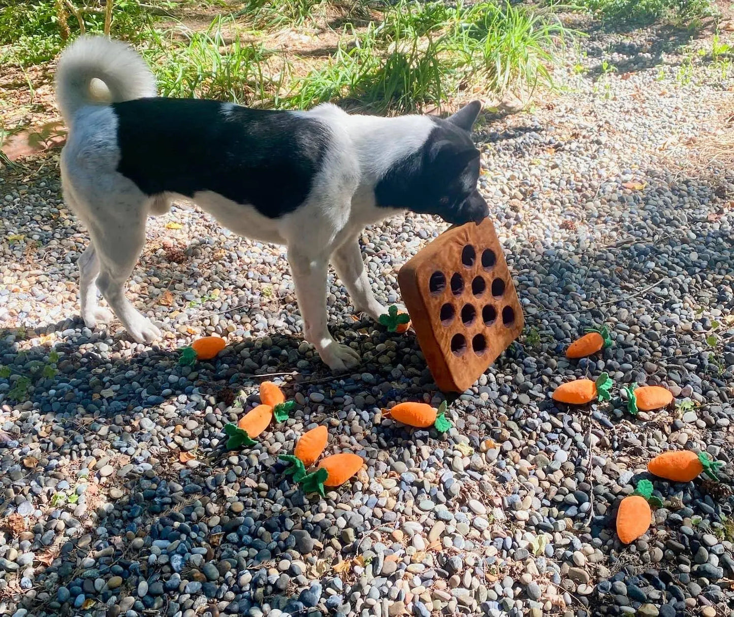 Carrot Snuffle Mat