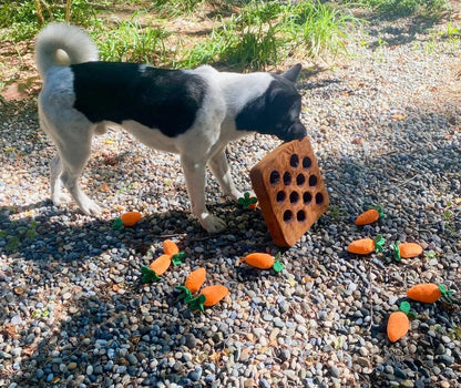 Carrot Snuffle Mat