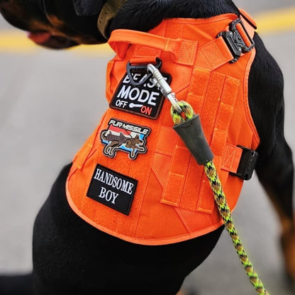Recon Harness & Tactical Set
